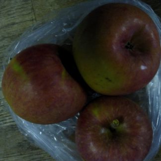 Apple..B.C..Gala... Approx 2 lb bag