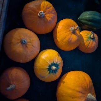 Squash....Orange Sunshine...Approx 2lbs..Our Own