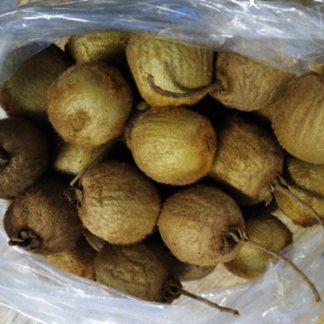 Kiwi..Our Own....5 Large Size