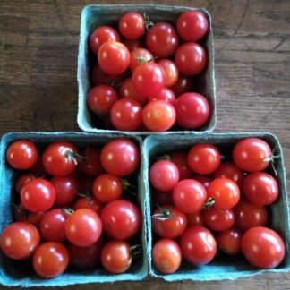 Cherry Tomatoes...Our Own