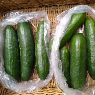 Mini Long English Cukes (Our Own)