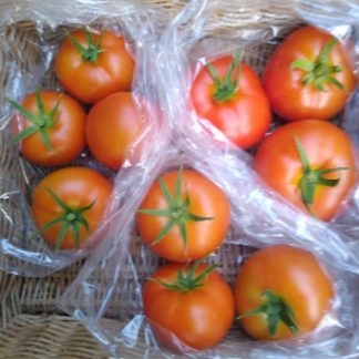 Tomatoes....Approx 1+ lb. bag...Our Own