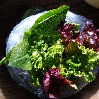 Lettuce..Mixed bag...Our Own