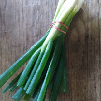 Green onion...Our Own